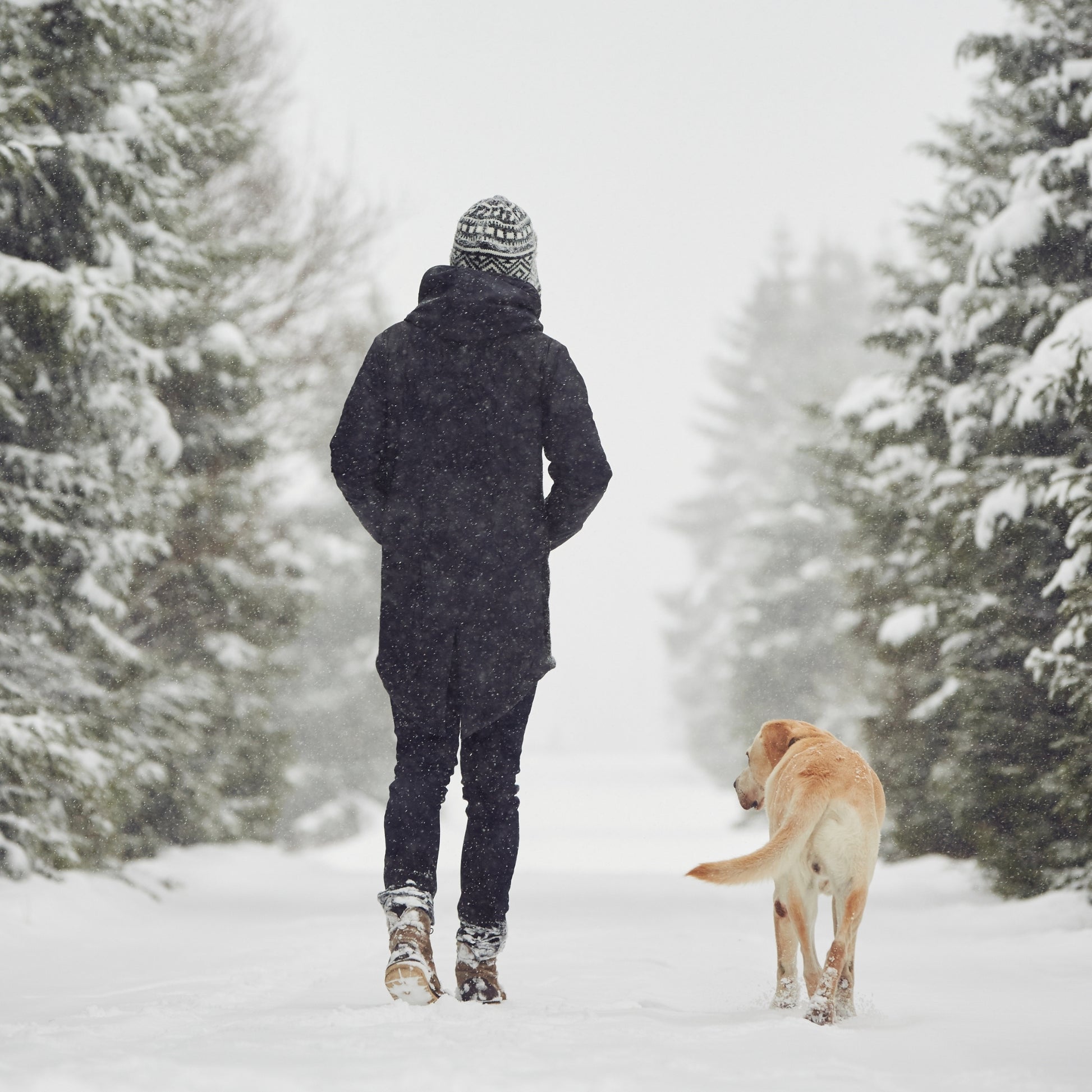 Person walking a dog on a snowy winter trail wearing cold-weather layers